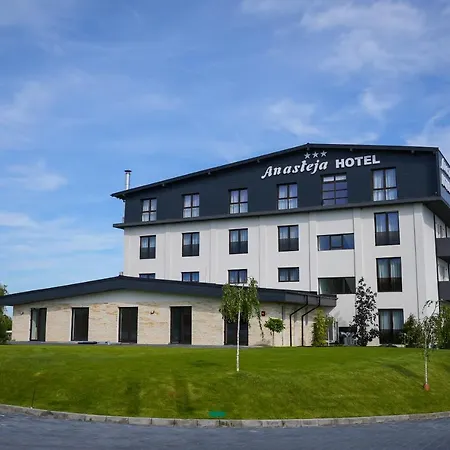 Hotell Anasteja Horezu