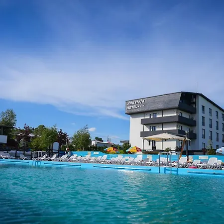 Hotel Anasteja Horezu